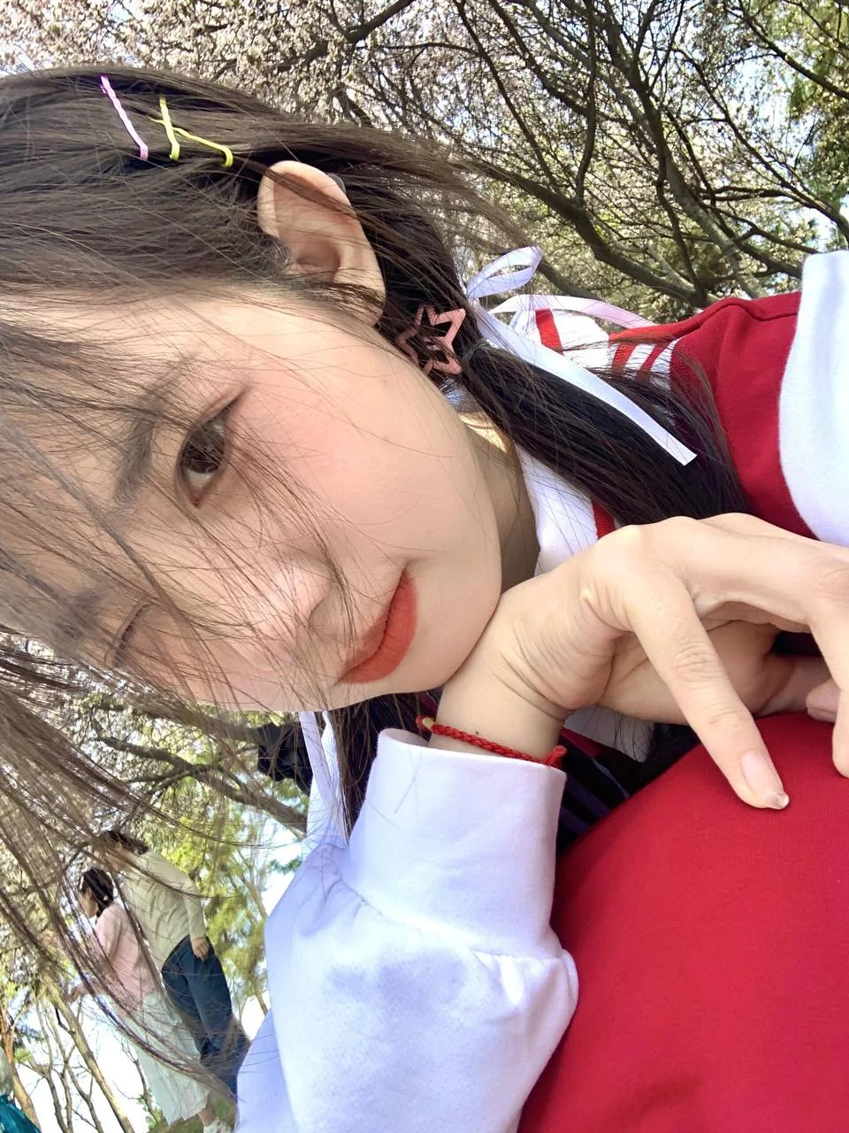 精美照片